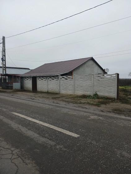 Casă cu Teren 2100 Mp în Bălaia
