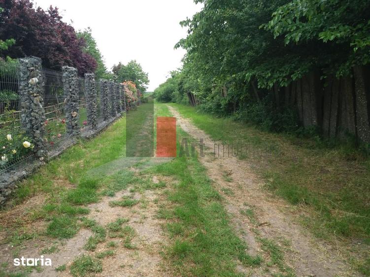 Teren de 3000 mp, în Central