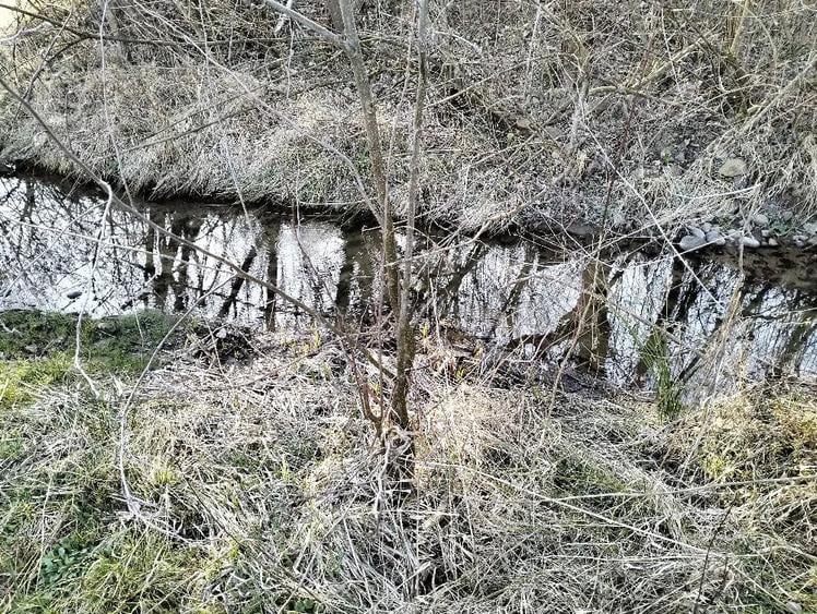 Teren de 10600 mp, în Crocna