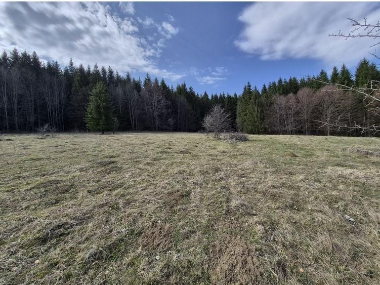 Teren Construcții intravilan de 1243 mp, în Trăisteni