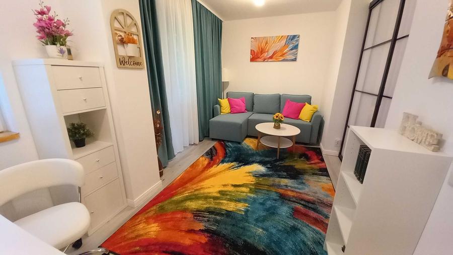 Particular Studio 2 camere Drumul Taberei ANL Brancusi et. 1/4, renovat, totul nou - 2