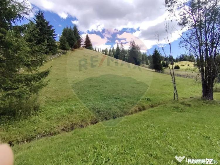 Teren de 14318 mp, în Paltin