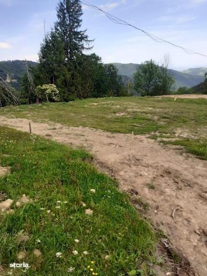 Teren de 25000 mp, în Șugag