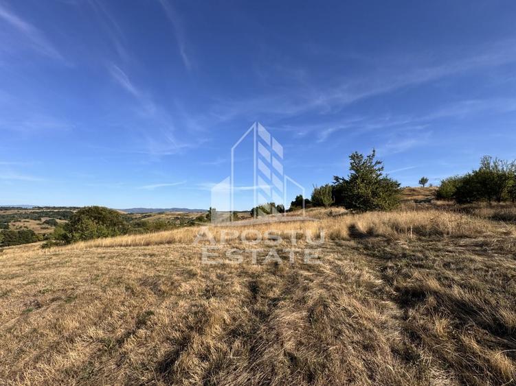 Teren agricol extravilan de 50000 mp, în Izvoarele