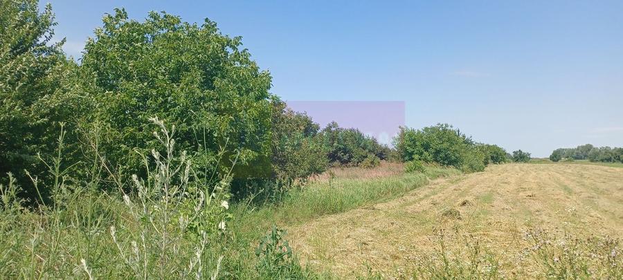 Teren Construcții intravilan de 665 mp, în Săbăreni