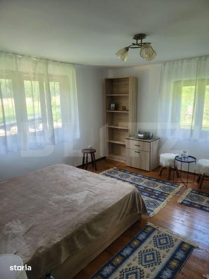 Casă cu 5 camere cu Teren 48000 Mp în Vărădia de Mureș
