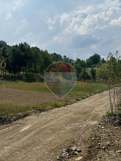 Teren Construcții intravilan de 1000 mp, în Sohodol