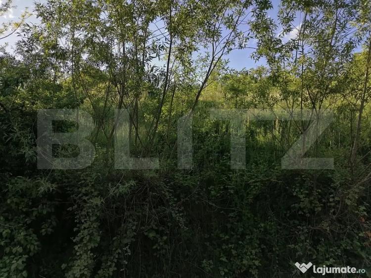 Teren de 14400 mp, în Gemenea-Brătulești