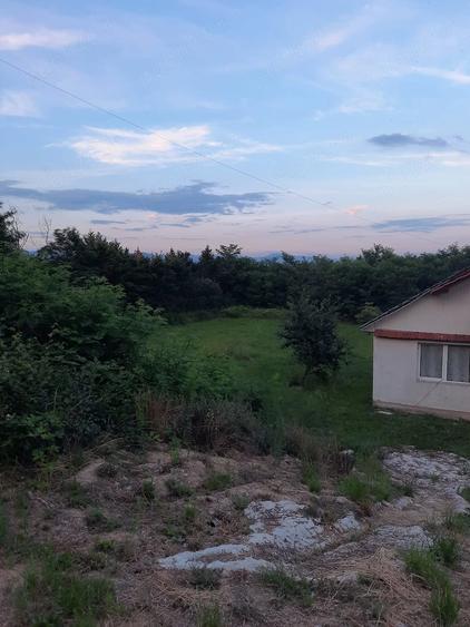 Casă cu Teren 2900 Mp în Ardusat