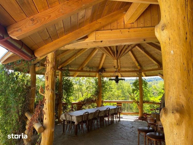 Casă cu 6 camere cu Teren 17000 Mp în Dumbrăvița
