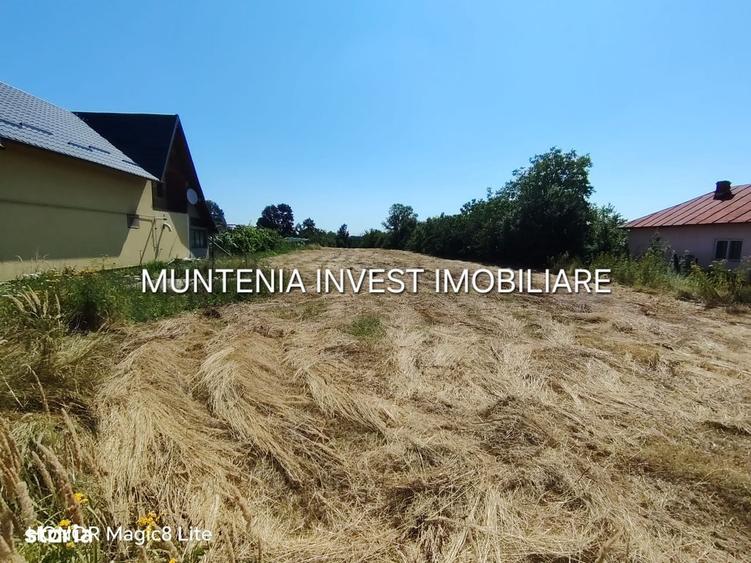 Spațiu comercial, în Poiana Lacului