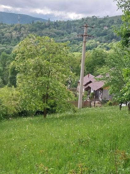 Teren de 3150 mp, în Poiana