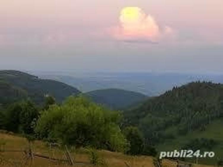 Teren de 4000 mp, în Muntele Bocului