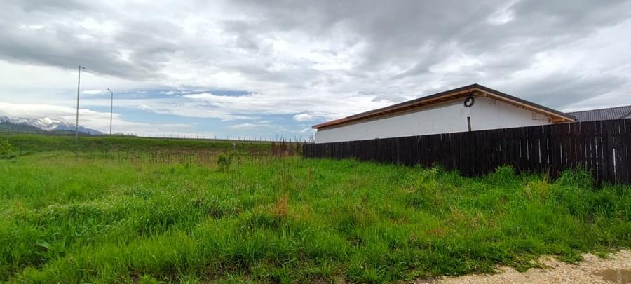 Teren Construcții intravilan de 800 mp, în Cristian