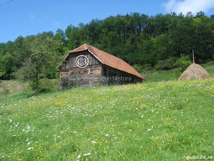 Vand Proprietate la Valea Bradului, Mun. Brad, Jud. Hunedoara, formata din 14368 mp teren ?i cladiri