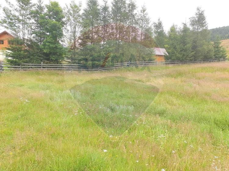 Teren agricol extravilan de 20000 mp, în Dălghiu