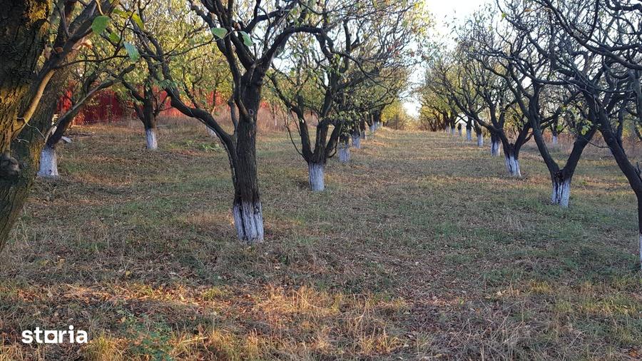 Teren de 2525 mp, în Bârnova