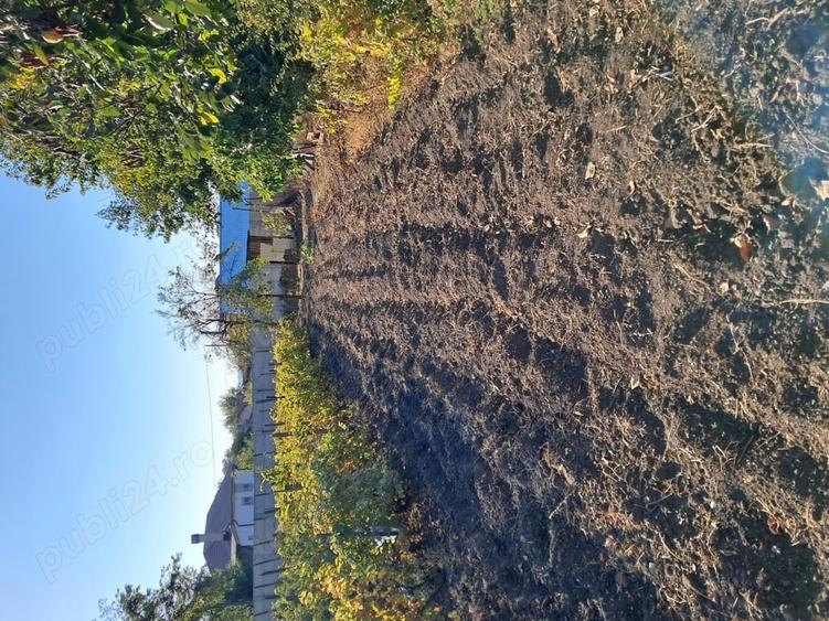 Casă cu 3 camere cu Teren 1354 Mp în Segarcea
