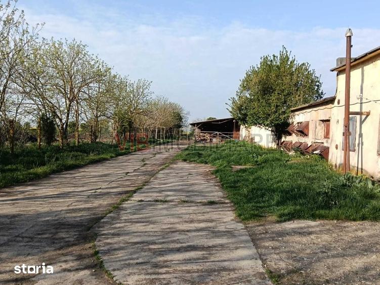 Teren de 30000 mp, în Orțișoara