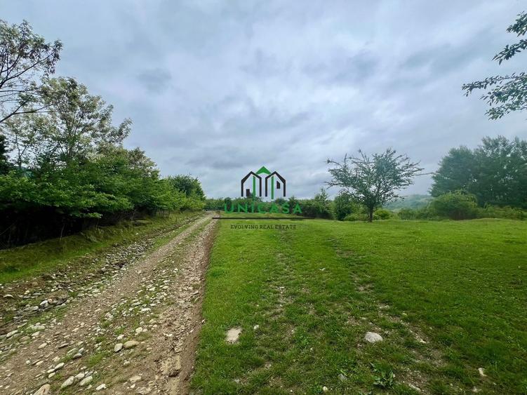 Teren Construcții intravilan de 3507 mp, în Seaca (Călimănești)