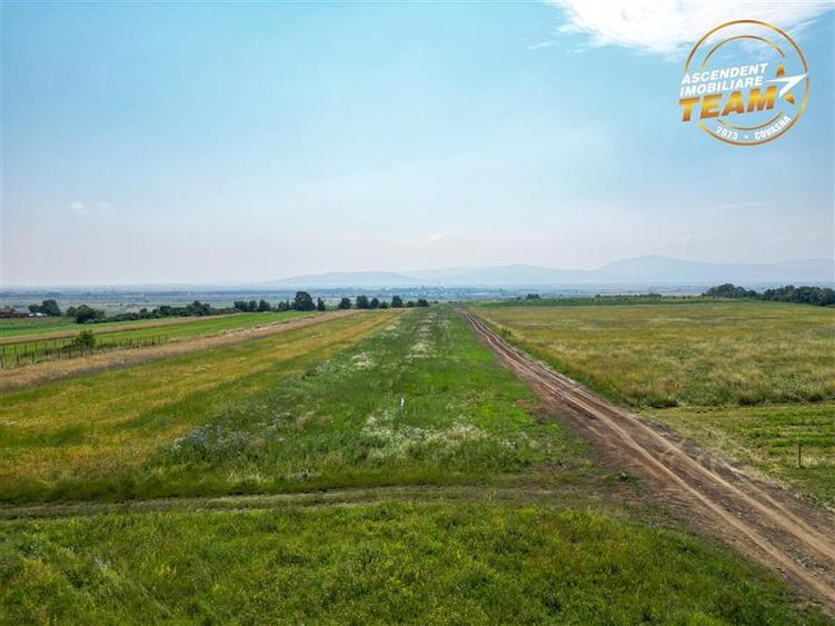 Teren Construcții intravilan de 573 mp, în Sâncraiu