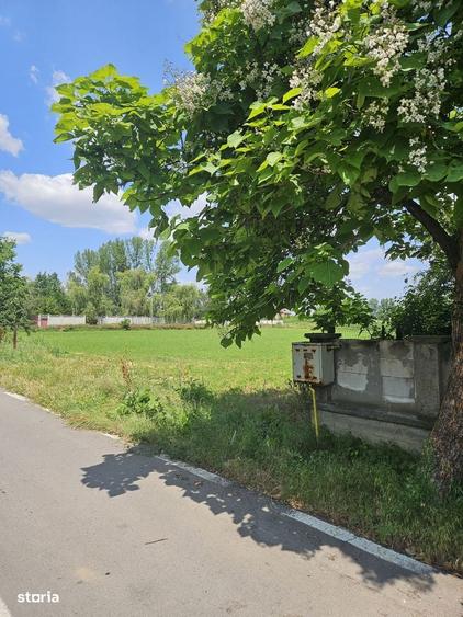 Spațiu comercial, în Bolintin-Deal