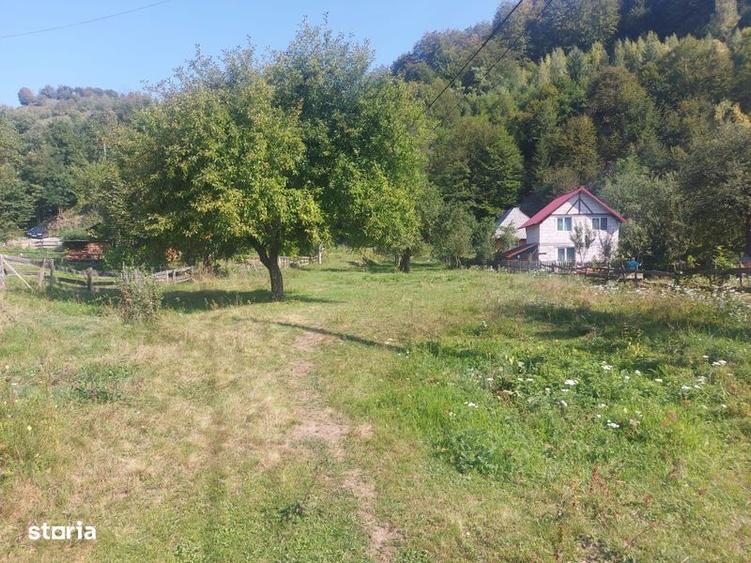 Teren de 1784 mp, în Avram Iancu