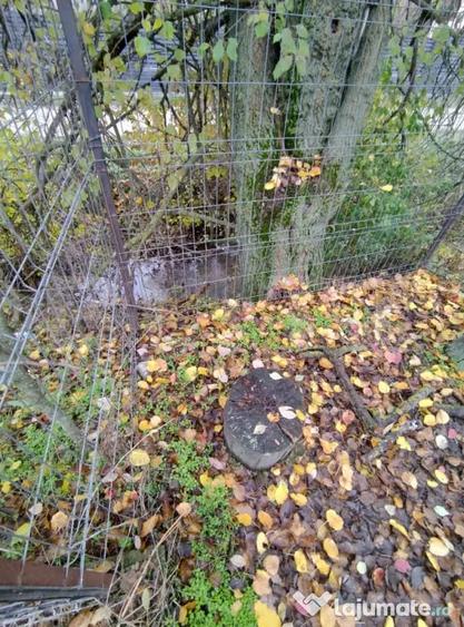 Casă cu 3 camere cu Teren 1001 Mp în Central