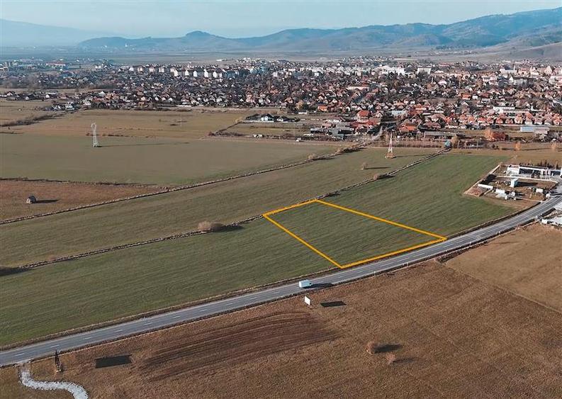Teren agricol extravilan de 5550 mp, în Sud