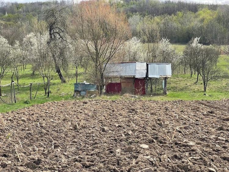 Teren de 5755 mp, în Central