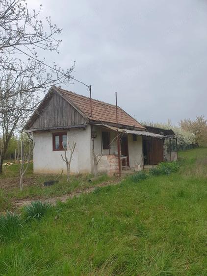 Teren de 7200 mp, în Miersig