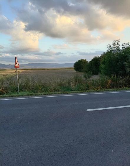 Teren de 9000 mp, în Stupinii Prejmerului