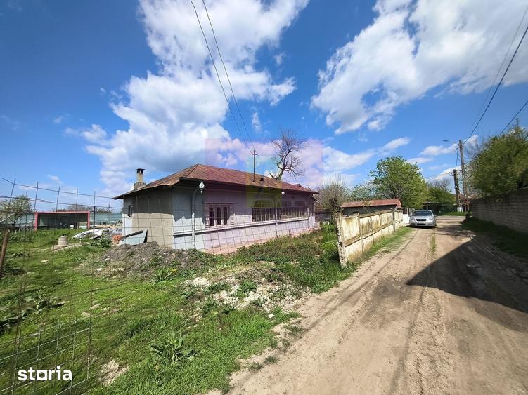 Teren de 975 mp, în Cernica