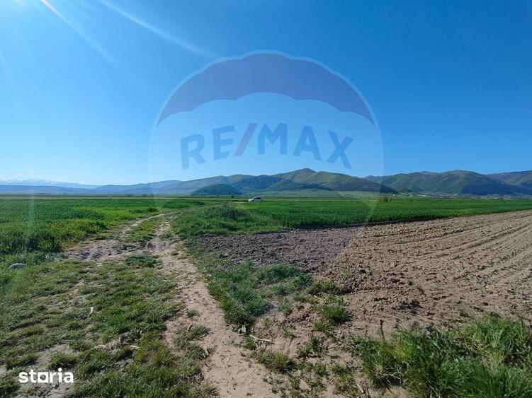 Teren de 1724 mp, în Gura Râului