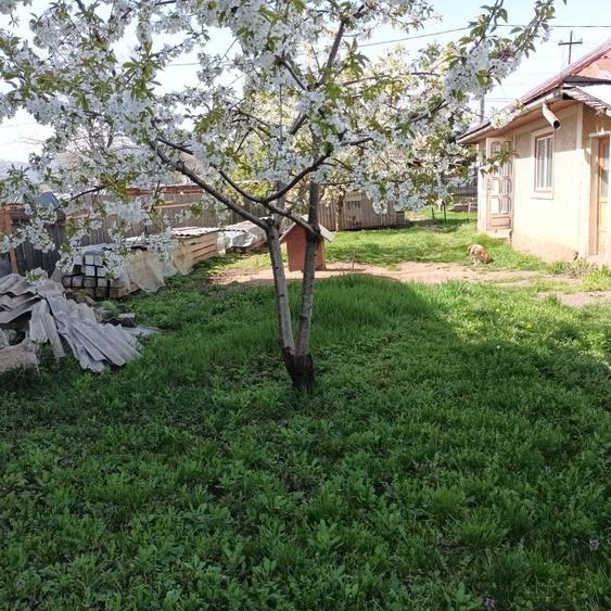 Casă cu 2 camere în Dumbrava