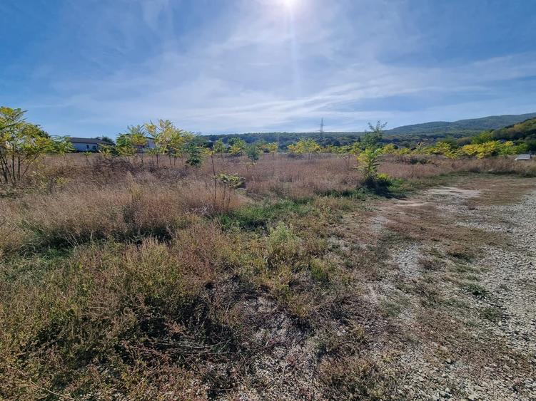 Teren Construcții de 550 mp, în Micești
