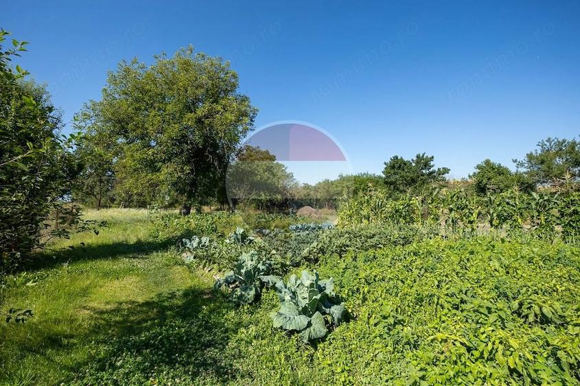 Casă cu 5 camere cu Teren 1346 Mp în Comana