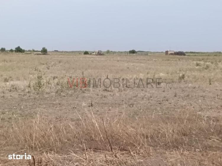 Teren 4 ha langa CENTURA TIMI?OAREI - 4