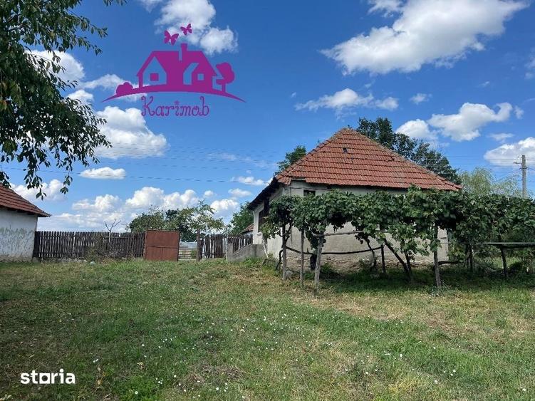 Casă cu 2 camere cu Teren 3208 Mp în Girișu de Criș