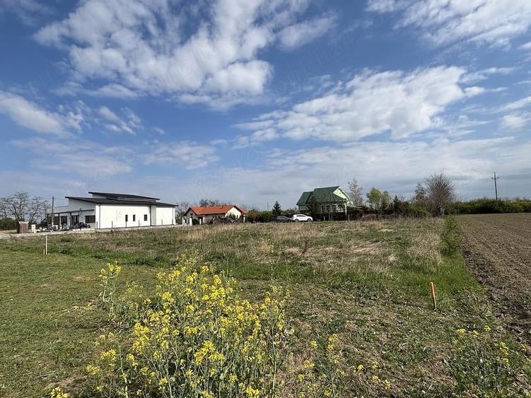 Teren de 700 mp, în Lazuri