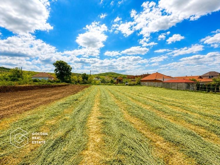 Teren agricol intravilan de 1402 mp, în Șiria
