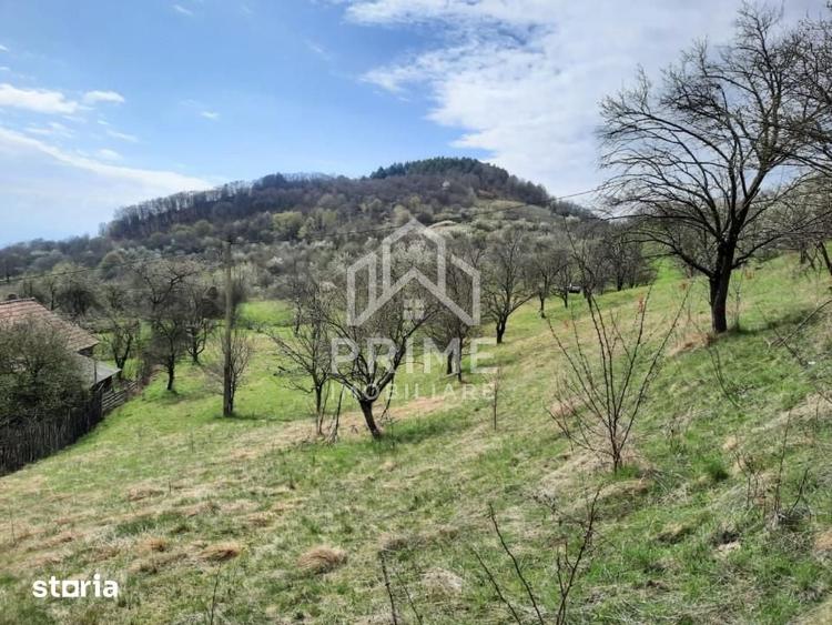 Teren de 13700 mp, în Vințu de Jos