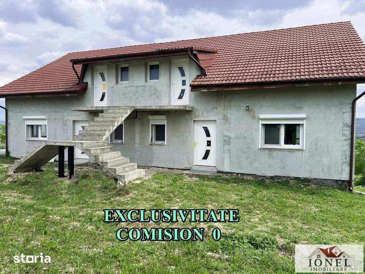 Casă cu Teren 6000 Mp în Teiu