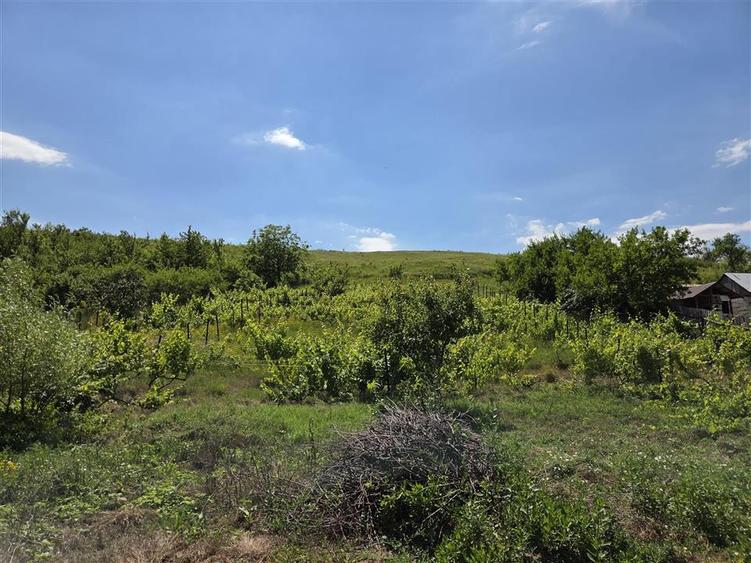 Teren Construcții intravilan de 4800 mp, în Tomești