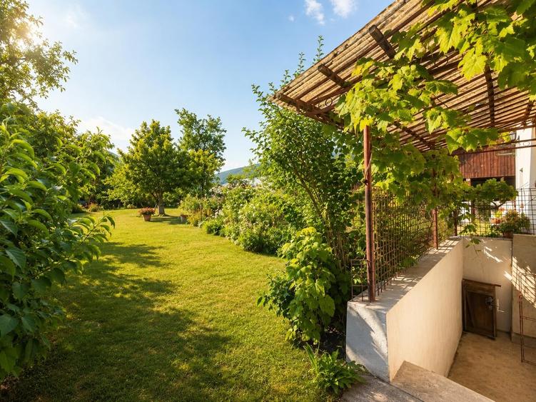 Casă individuală cu 4 camere cu Teren 6642 Mp în Pianu de Sus