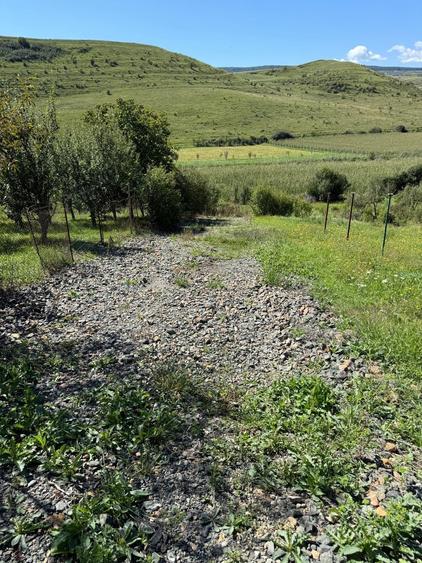 Teren Construcții intravilan de 800 mp, în Pata