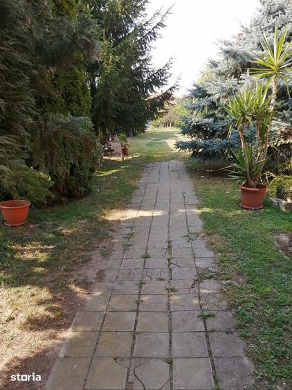 Casă cu 4 camere cu Teren 1560 Mp în Mișca