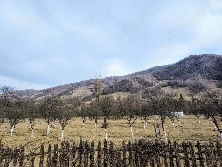 Teren de 2286 mp, în Costești