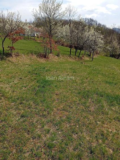 Teren de 2800 mp, în Ormindea