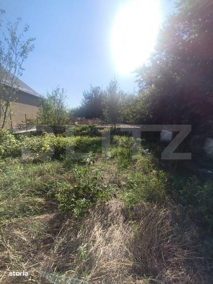 Spațiu comercial, în Lunca